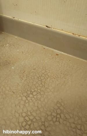 お風呂掃除前の我が家のバスルーム・カラリ床